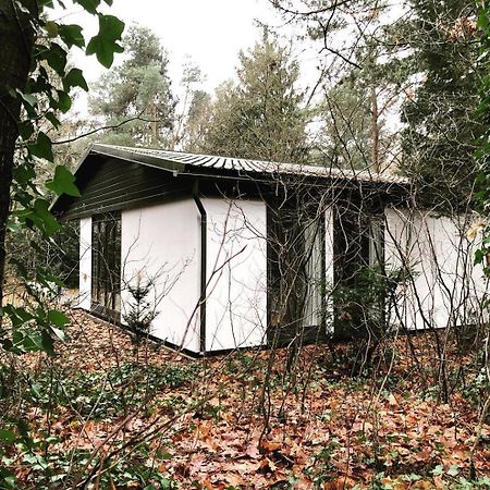 Www Huis Op De Veluwe Nl Нюнспет Экстерьер фото